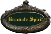 Logo Brocante Spirit